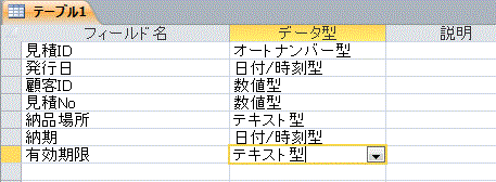 フィールド名・データ型を入力します