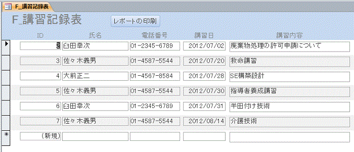 作成できたフォーム ビューの画面です