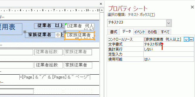 テキストボックスのコントロールソースにそれぞれのパラメータを入力する