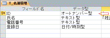 フィールド名とデータ型の設定