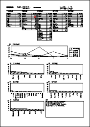 グラフ印刷