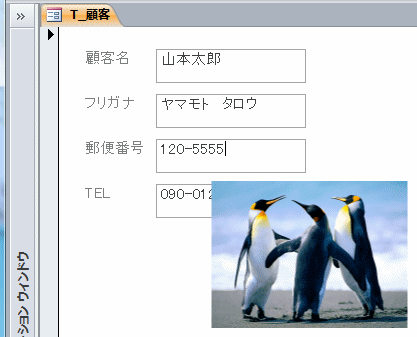 顧客フォームの画像を表示する