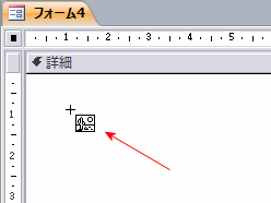 フォームに配置する