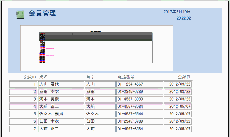 レポートプレビュー画面