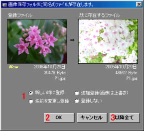 同じファイル名の場合、表示されるウィンドウ