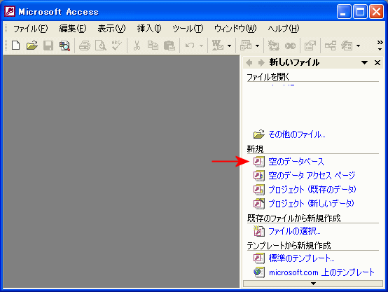 Access起動画面