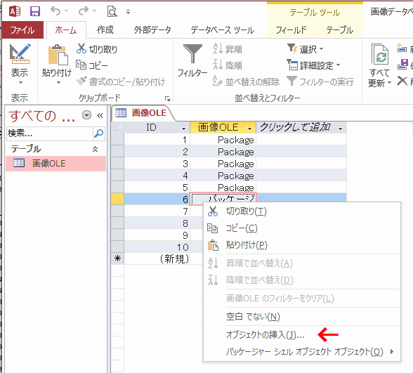 メニューの［オブジェクトの挿入］をクリックする